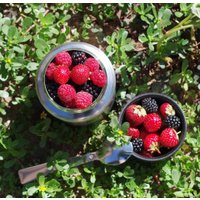 Термос для еды БИОСТАЛЬ NTS-750 0.75л (нержавеющая сталь)