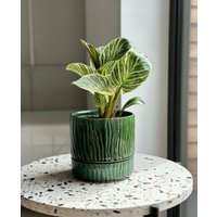 Вазон Polnix 07.149.16 (зеленый)