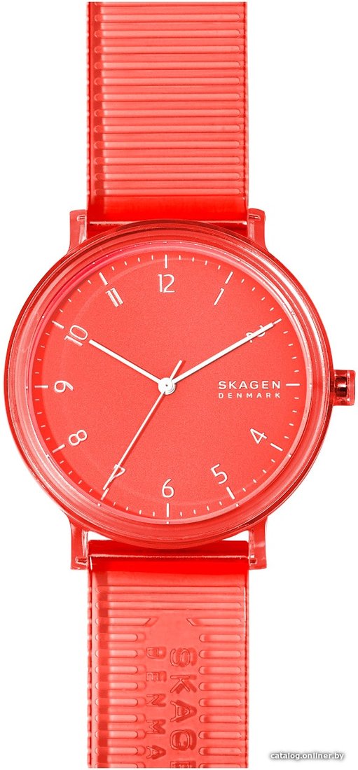 Наручные часы Skagen SKW6603