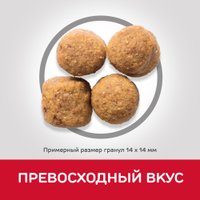 Сухой корм для собак Hill's SP для взрослых собак крупных пород, с ягненком и рисом 14 кг
