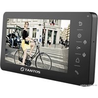 Монитор Tantos Amelie XL (черный)