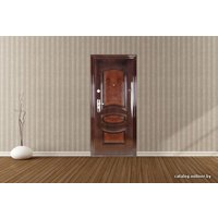 Металлическая дверь Yasin F06