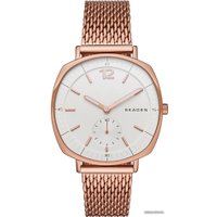 Наручные часы Skagen SKW2401