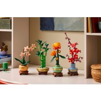 Конструктор LEGO The Botanical Collection 10344 Счастливый бамбук