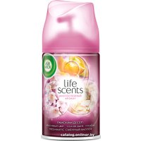 Сменный блок для освежителя воздуха Air Wick Freshmatic Refill Summer Delight 250 мл (Райский десерт)