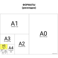 Полуобщая тетрадь BRAUBERG Joy 403791 (3шт)