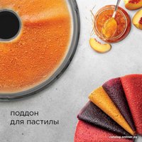 Сушилка для овощей и фруктов Redmond (Редмонд) FD1100