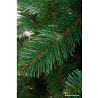 Ель Holiday Trees Беловежская 1 м