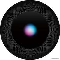 Умная колонка Apple HomePod (серый космос)