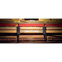 Проводной микрофон Lewitt LCT 240 PRO (черный)