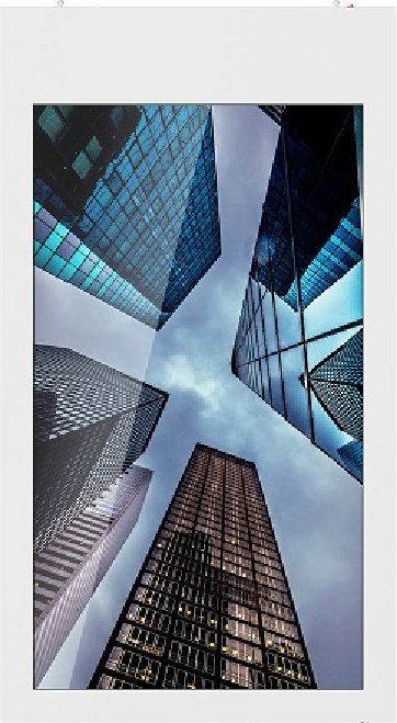 

Двухсторонняя информационная панель GoodView D55H1