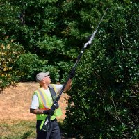 Высоторез Greenworks PH662T 2301607 (без АКБ)