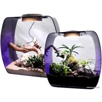Террариум Lucky Reptile Life Box LB-35P (фиолетовый)