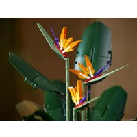 Конструктор LEGO Creator Expert 10289 Райская птица