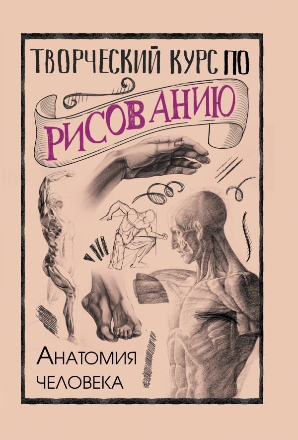 

Книга издательства АСТ. Творческий курс по рисованию. Анатомия человека (Грей Мистер)