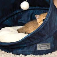 Лежак Scruffs Kensington Cat Cave 661808 (синий)