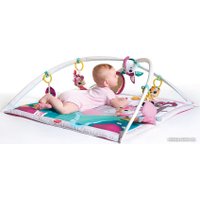 Развивающий коврик Tiny Love Tiny Princess Tales Gymini Deluxe 3333120551