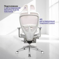 Офисное кресло Evolution Ergo Elite (черный)