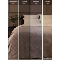 Плед Tex Republic Elite Клетка Фланель Евро 93382 (коричневый)