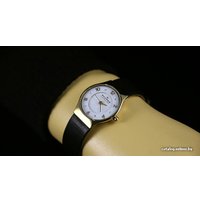 Наручные часы Skagen SKW2209