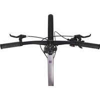 Велосипед Cord 5Bike 26 M300 2025 CRD-M5-2611-15 (цветущая сакура)