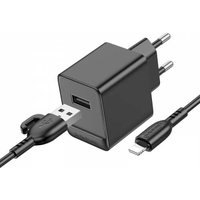 Сетевое зарядное Borofone BAS11A Lightning (черный)