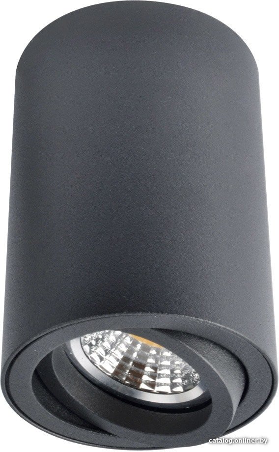 Точечный светильник Arte Lamp Sentry A1560PL-1BK