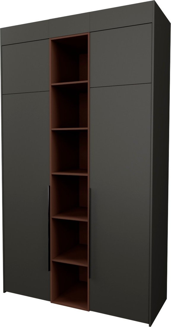 

Шкаф распашной Рэйгрупп Рэй S262-В5-WKL В5 (дуб веллингтон/кобальт/античная латунь)