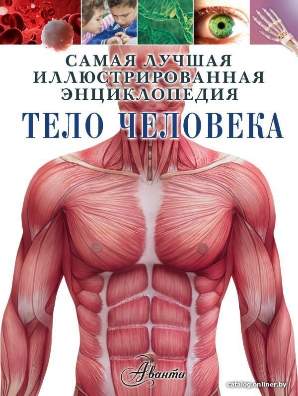 Книга издательства АСТ. Тело человека 978-5-17-110804-5 (Хибберт Клэр)