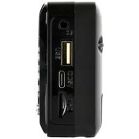 Радиоприемник Perfeo Palm Next (черный)