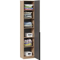 Шкаф-пенал Трия Порто СМ-393.07.212 с 1 зеркальной дверью (яблоня беллуно/графит)