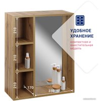 Зеркало Doratiz Лофт 60 2712.113 (с полками, ватан)