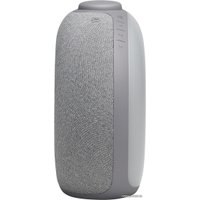 Настольные часы JBL Horizon 2 FM (серый)