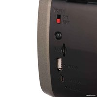 Радиоприемник TELEFUNKEN TF-1694UB