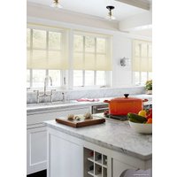 Жалюзи горизонтальные Эскар 60x160 5009060160 (бежевый)