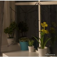 Гирлянда бахрома Luazon 3556836 (мульти)