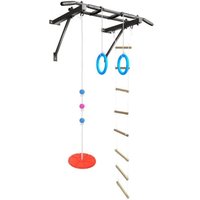 Турник Absolute Champion Оптимист АЧ 10045 (тарзанка, лестница, кольца, черный, черные ручки)