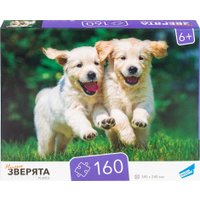 Пазл Dream Makers Зверята RI1603C