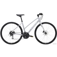 Велосипед Trek FX 2 Disc Women's Stagger L 2020 (серебристый)