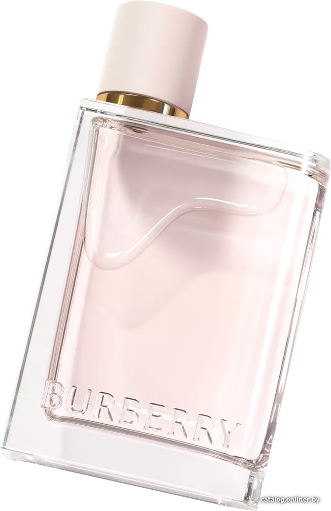 Парфюмерная вода Burberry Her EdP (100 мл)