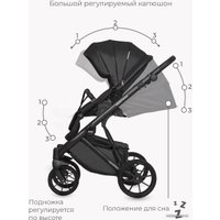Универсальная коляска Riko Basic Montana Ecco (2 в 1, 12/черный)