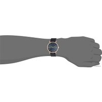 Наручные часы Skagen SKW6447