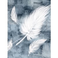 Фотообои Vimala Перья на стене 270x200