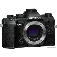 Беззеркальный фотоаппарат Olympus OM-D E-M5 Mark III Body (черный)