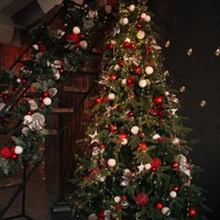 Ель Erbis Swierk PE Gesty Lux 180