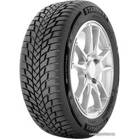 Зимние шины Starmaxx PolarMaxx 205/55R16 91H