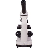 Детский микроскоп Levenhuk Rainbow 2L (лунный камень) 69035