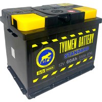 Автомобильный аккумулятор Tyumen Battery Standard R+ (60 А·ч) в Мозыре