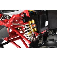 Квадроцикл White Siberia Sneg Pro 3000W