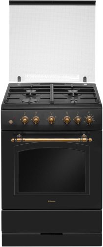 Кухонная плита Hansa FCGA62109